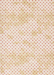 Pirates - Spots, Beige